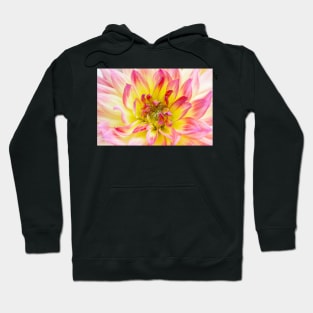 Dahlia Hoodie